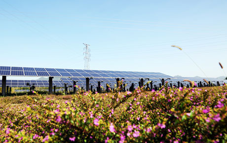 土壤修复PowMart智慧能源解决方案